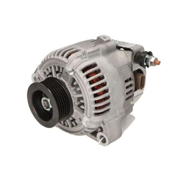 Motor y Componentes Internos
